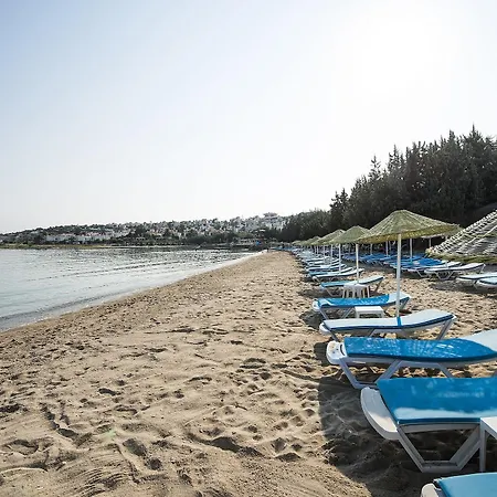 Altin Yunus * Cesme