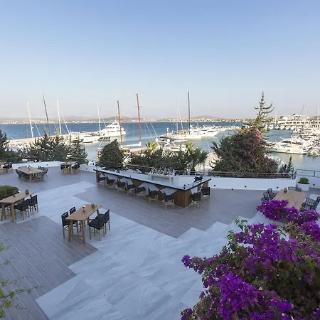 Apartment Altin Yunus